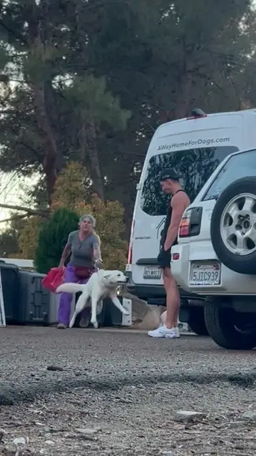 Video thumbnail for Dog Ghost Reunites with Owner after Time Apart