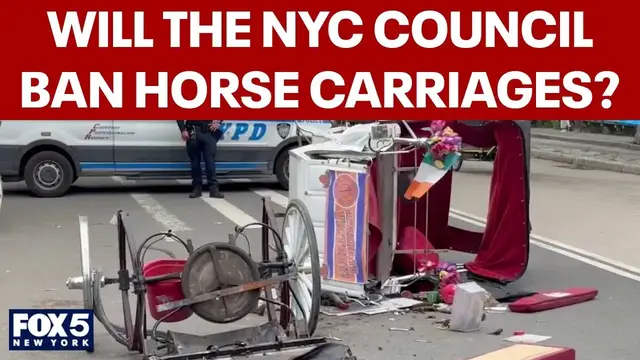 Video thumbnail for NYC Council will soon vote on proposal to ban horse carriages