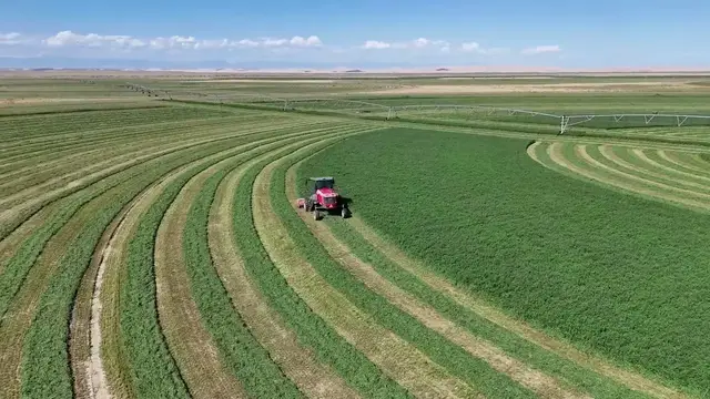 Video thumbnail for China: What are these giant green circles?.