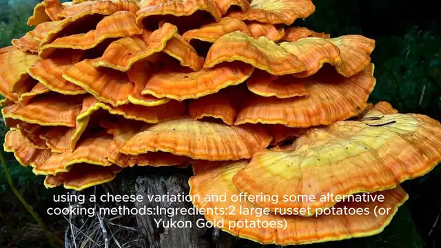 Video thumbnail for Chicken of the woods recipe