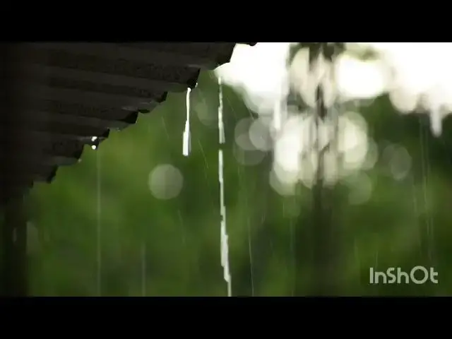 'Video thumbnail for 15 minute- Rain for sleep #rain#rainoundforsleep #relaxingsounds #relax #peace #rainsounds'