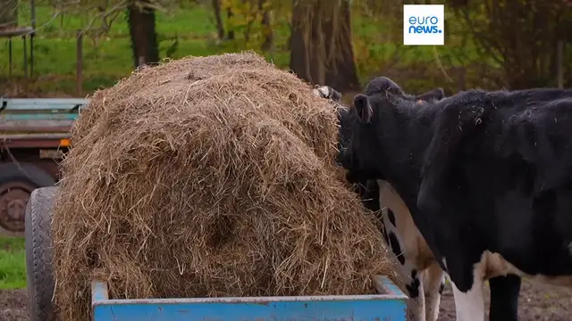 'Video thumbnail for European Commission comes up with plan to get more young people into farming'