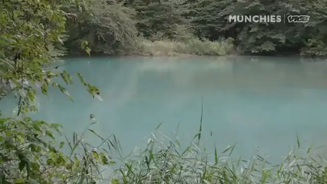 'Video thumbnail for We Spent a Night Camping and Drinking Sake in Japan’s Wilderness'