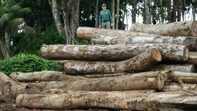 'Video thumbnail for Patrolling the Amazon rainforest: Brazil's environmental agency tackles illegal mining'