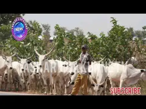 Video thumbnail for YANZU YANZU_ QUNGIYAR MIYATTI ALLAh