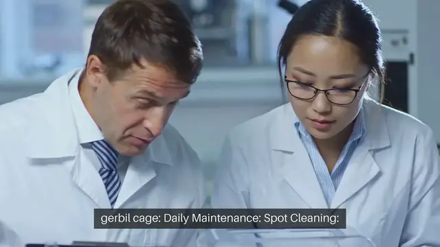 Video thumbnail for Gerbil Cage Cleaning Frequency
