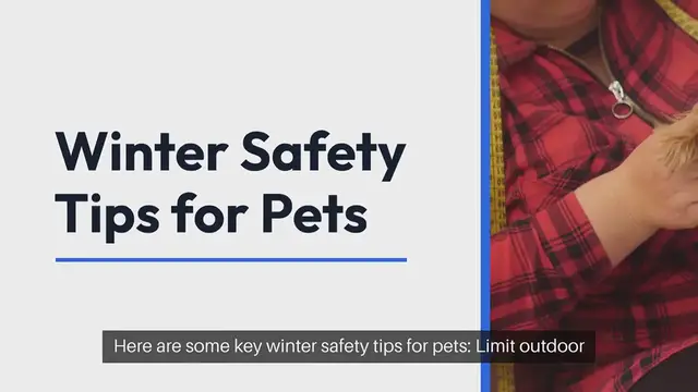 Video thumbnail for Pet Winter Safety Tips