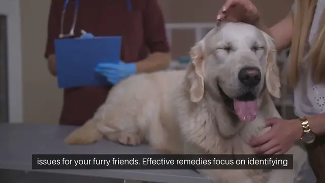 'Video thumbnail for Pet Skin Allergy Remedies'