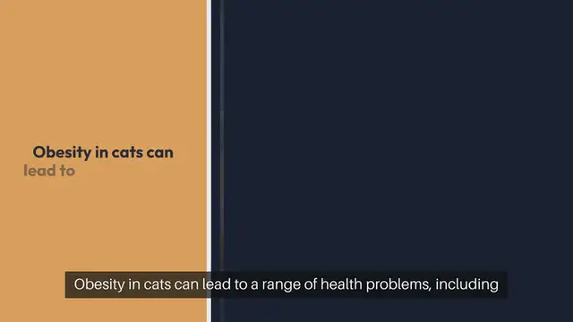 Video thumbnail for Cat Weight Management Products