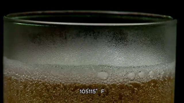 Video thumbnail for chicago dog recipe