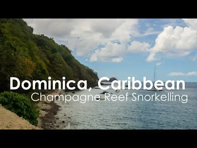 Video thumbnail for Dominica Champagne Reef Snorkelling