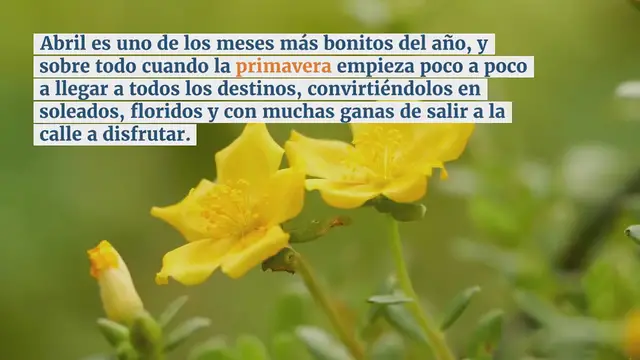 Video thumbnail for Dónde viajar en Europa en abril