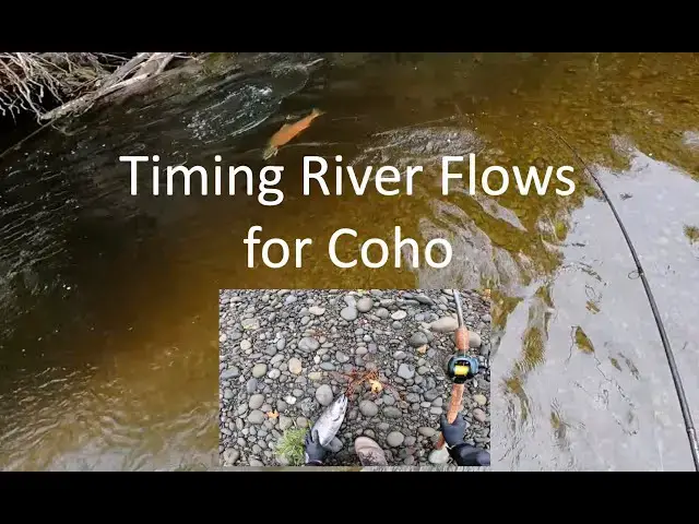 'Video thumbnail for River flow timing for coho - how to avoid lock jaw coho driving you insane!'