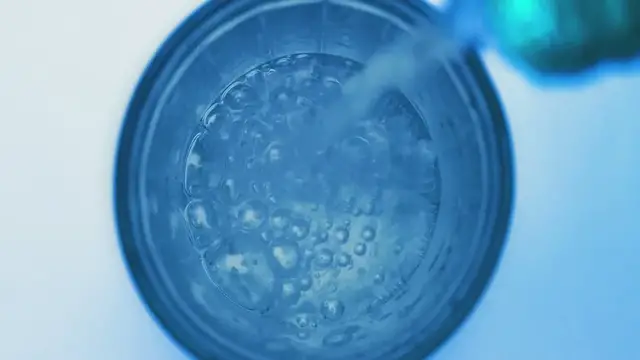 Video thumbnail for Holly Berry Fizz: The Festive Drink You Didn’t Know You Needed