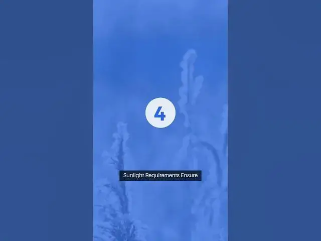 Video thumbnail for Hydrangea Flowering Tips #FlowerPower #GardenInspiration #BeautifulBlooms #NatureLovers  #facts