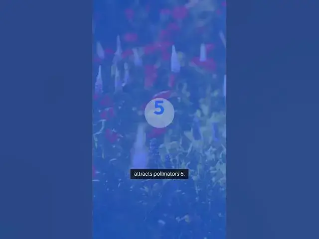 Video thumbnail for Easy Annual Flower Seed Starter Guide #EasyAnnuals #gardenjoy #facts #livegreenandloveyourgreens