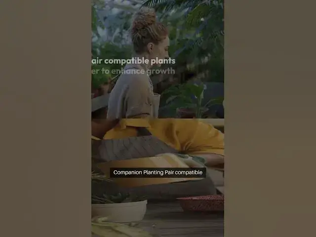 Video thumbnail for Evergreen Harvest Perennial Gardening  #EndlessHarvest #GardeningSuccess #ContinuousHarvest