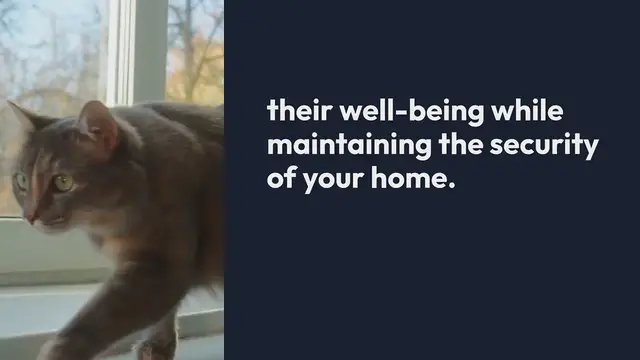 Video thumbnail for Protecting Pets with Home Security