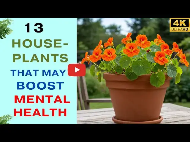 'Video thumbnail for 13 Houseplants That May Boost Mental Health'