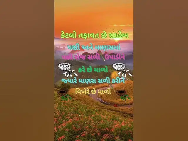 Video thumbnail for પક્ષી માળો બનાવે છે, માણસ માળો ભાંગે છે 🕊️🙍‍♂️"@ashvinjoshi1393 #Inspiration #nature