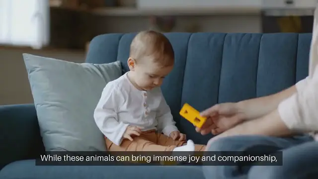 Video thumbnail for Pets That Are Expensive To Maintain