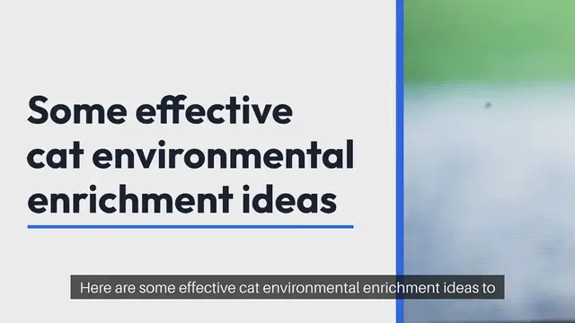 Video thumbnail for Cat Environmental Enrichment Ideas