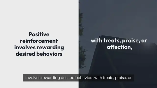 Video thumbnail for Best Pet Training Techniques