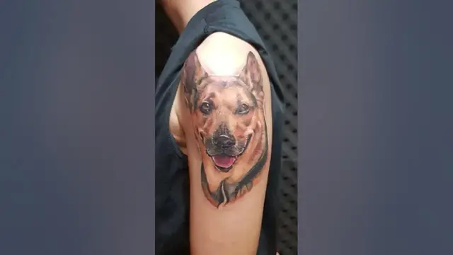 Video thumbnail for Realistic German shepherd tattoo ideas #germanshepherd #tattoo
