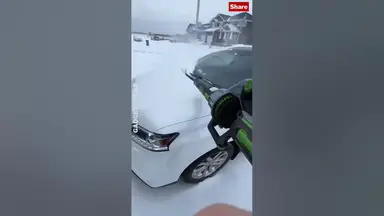 'Video thumbnail for Product Link in Bio ✅ | Cordless Leaf Blowing Bliss | #viral'