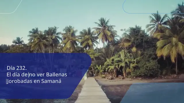 'Video thumbnail for Día 232. El día de [no] ver Ballenas Jorobadas en Samaná'