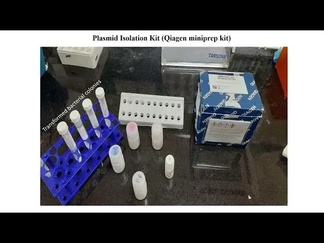 'Video thumbnail for Plasmid Isolation using Qiagen Mini Prep Kit'