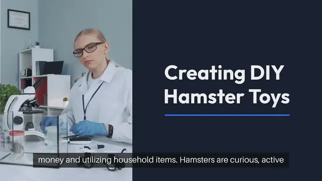 Video thumbnail for DIY Hamster Toys