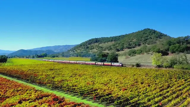Video thumbnail for Wine Tasting in Napa Valley: A Beginner's Guide