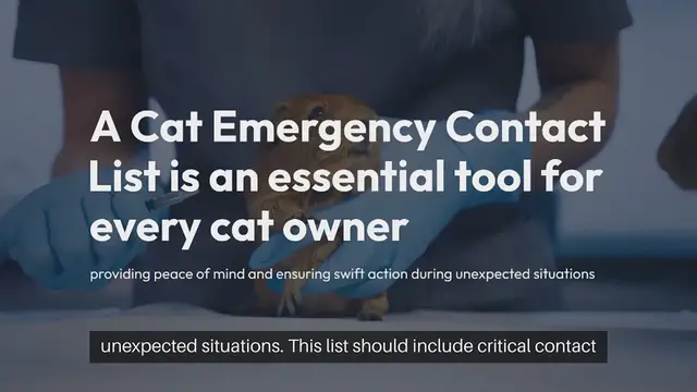 Video thumbnail for Cat Emergency Contact List