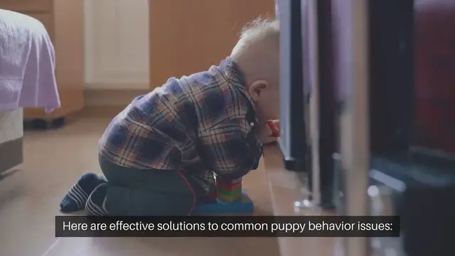 Video thumbnail for Puppy Behavior Solutions