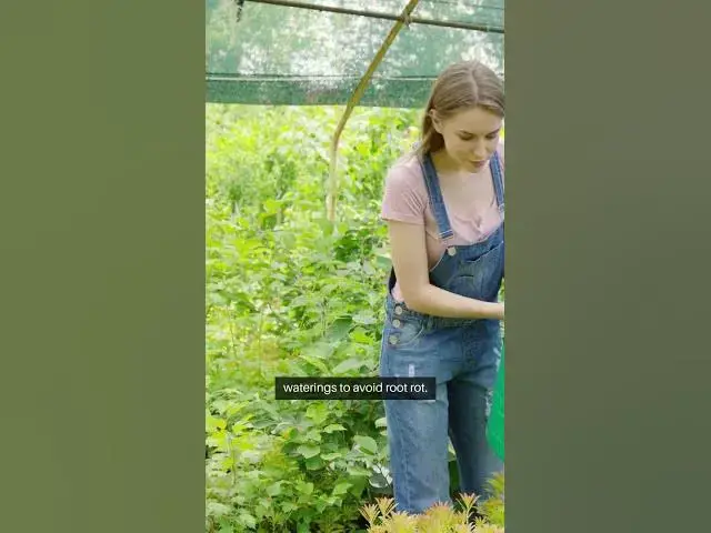 Video thumbnail for Succulent Care 101 Tips and Tricks #IndoorPlants #HouseplantCommunity #CactusCare #plantobsessed