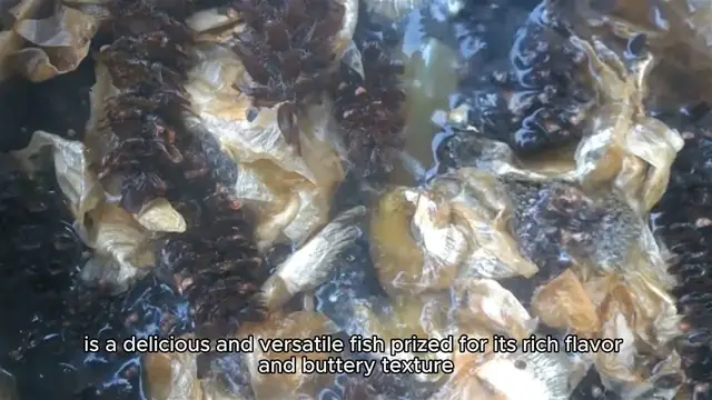 Video thumbnail for black cod recipe