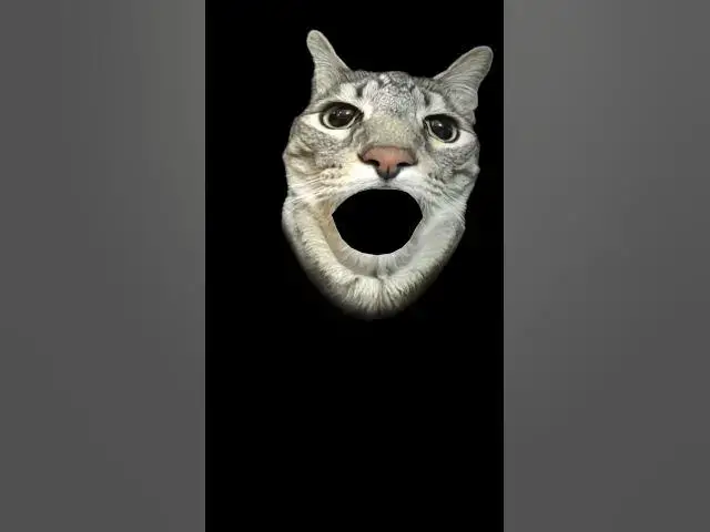 Video thumbnail for 20 June 2026