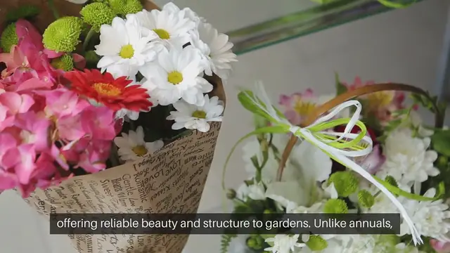 Video thumbnail for All About Perennial Flowers