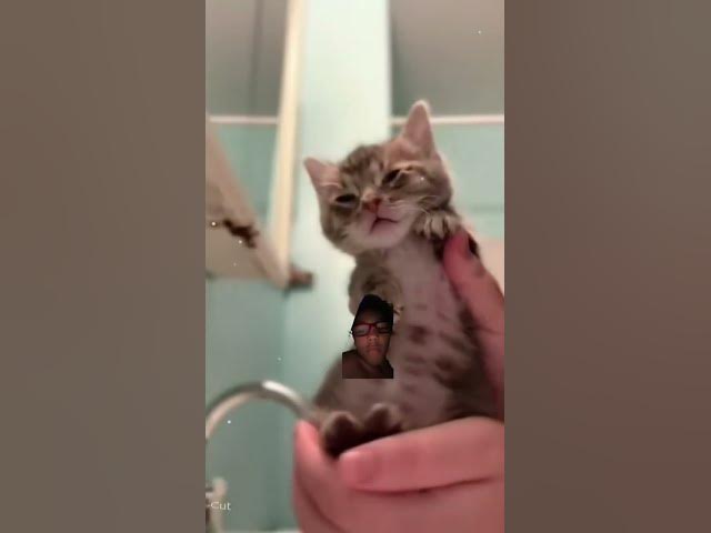 Video thumbnail for August 10, 2024