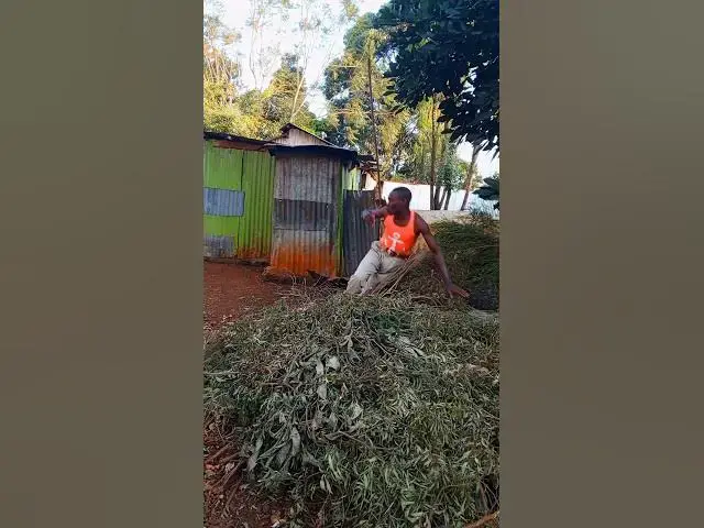 Video thumbnail for 😂#trending #foryou #shortfeeds #funny #naphhenry #comedy #world #johnselephilip  #funnyshorts #funny