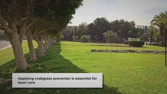 'Video thumbnail for When To Apply Crabgrass Preventer In 2024 (Pre-emergent Application Timing) - Lawn Phix'