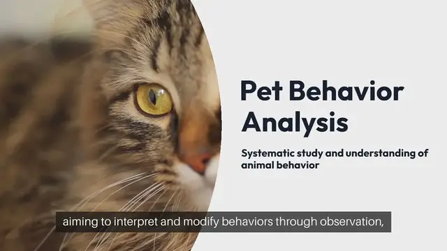 Video thumbnail for Pet Behavior Analysis