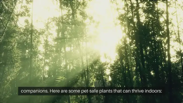 'Video thumbnail for Pet Safe Household Plants'