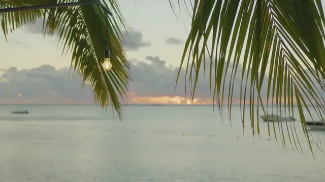Video thumbnail for **Jennifer Esposito Reflects on Unique Pandemic Wedding with Husband in Wetsuit**