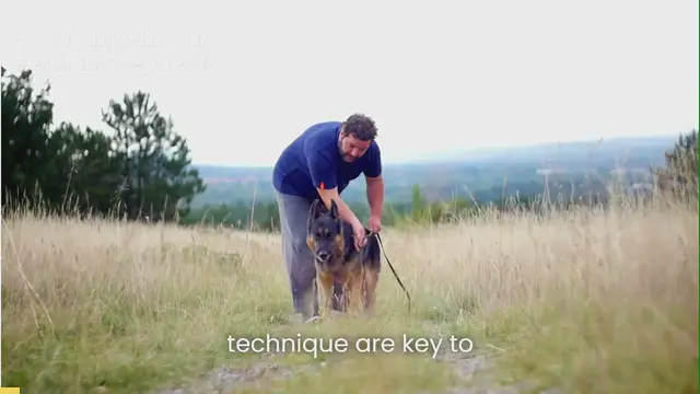 'Video thumbnail for how to brush your german shepherd_ (1)'