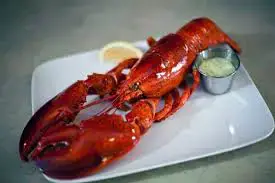 Video thumbnail for Boiled Maine Lobster