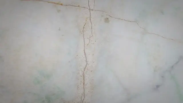 Video thumbnail for SOP on Disposal of Microbial Media in Microbiology