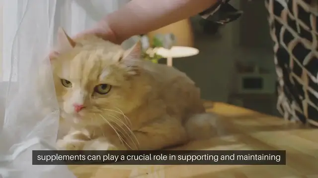 Video thumbnail for Cat Joint Health Supplements