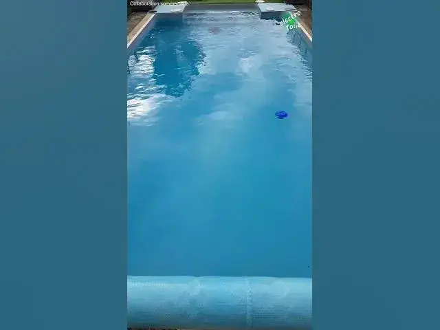 Video thumbnail for Robot piscine Wybot C1 💦 Nettoyage du fond du bassin en motif S pendant 40 minutes
